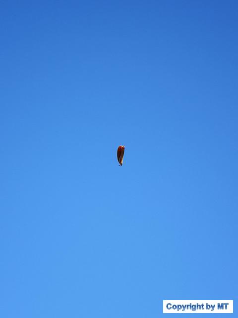 66214154 2564647210221443 8218385767316062208 o 2564647196888111