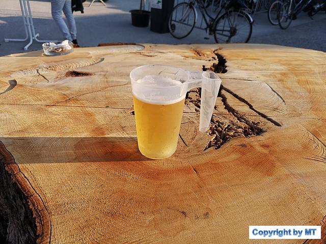 66448752 2564649113554586 8181041408929431552 o 2564649100221254