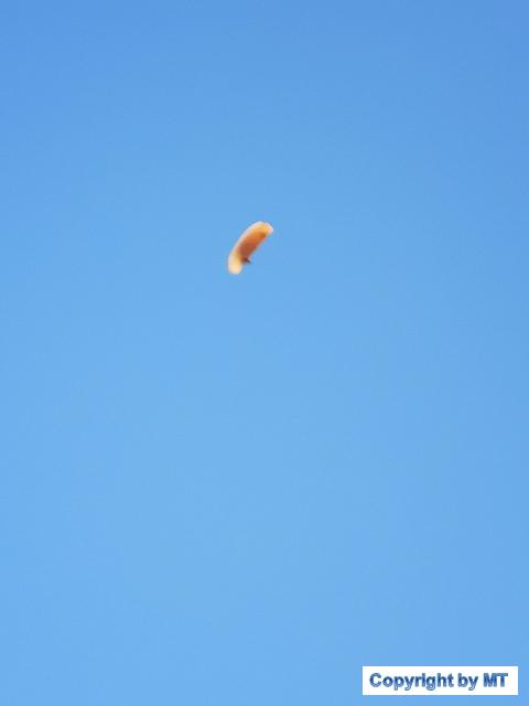 66449518 2564646933554804 6483917440198639616 o 2564646906888140