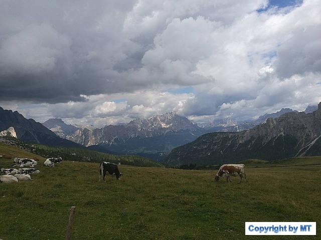 14199735 1266650983354412 3431756905414140696 n 1266650983354412