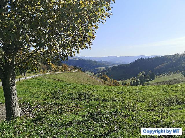 72217171 2749777871708375 3563880449660944384 o 2749777861708376