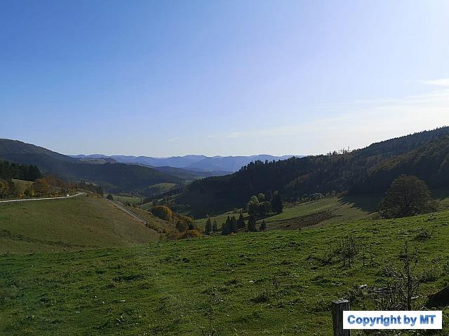 72666929 2749783568374472 7418027004072558592 o 2749783565041139