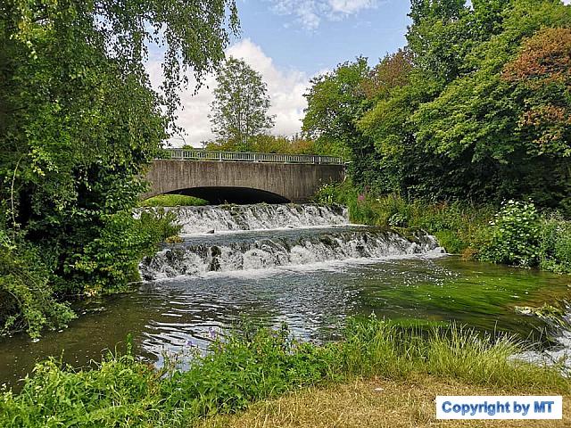 66758862 2573577059328458 2336202032790110208 n 2573577055995125