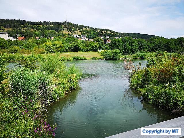 66808433 2573575122661985 7247196097213366272 n 2573575109328653