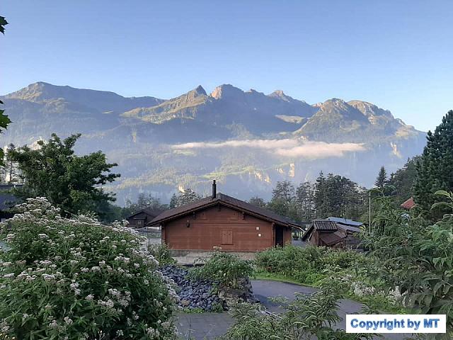 69336080 2610756458988074 9144612653157580800 n