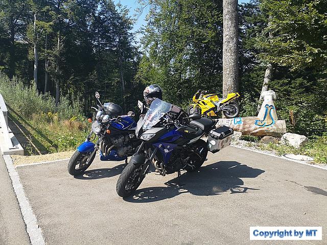 69011115 2659392867413543 5600639054791049216 o 2659392860746877