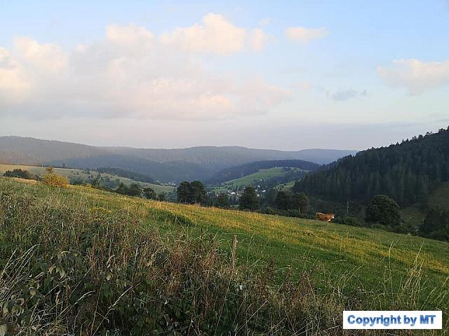 69204379 2652164944803002 5842695689242411008 n 2652164938136336