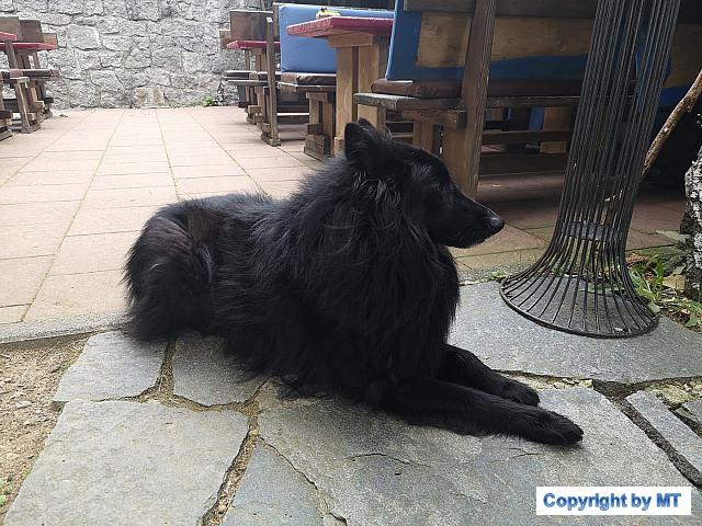 69244466 2651279504891546 8717971793341579264 o 2651279494891547