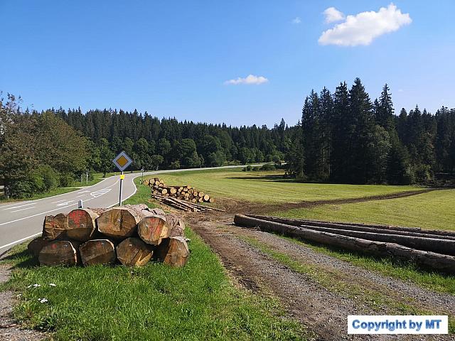 69259521 2655214871164676 8736233251254829056 o 2655214864498010