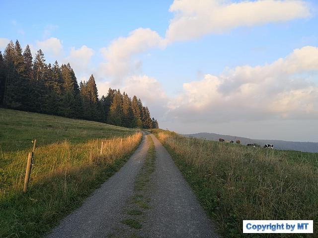 69303140 2652161151470048 6115324167194673152 o 2652161148136715