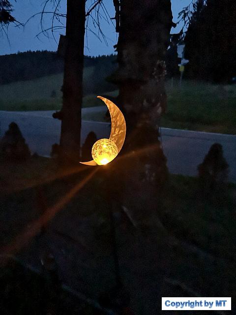 69307927 2658053810880782 8235460955262156800 o 2658053807547449