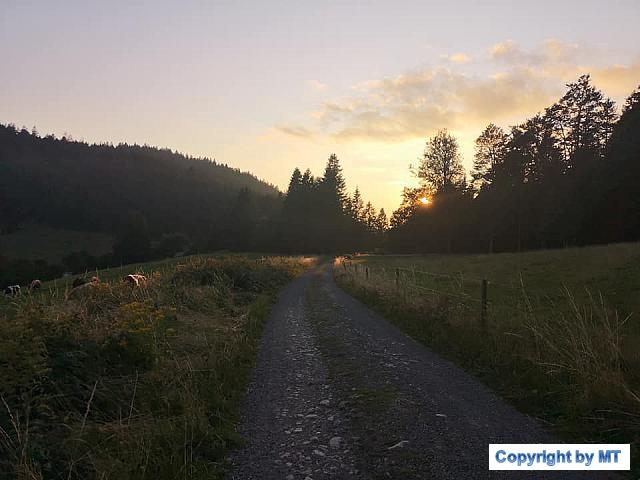 69344122 2652165004802996 7474713683252215808 n 2652164998136330