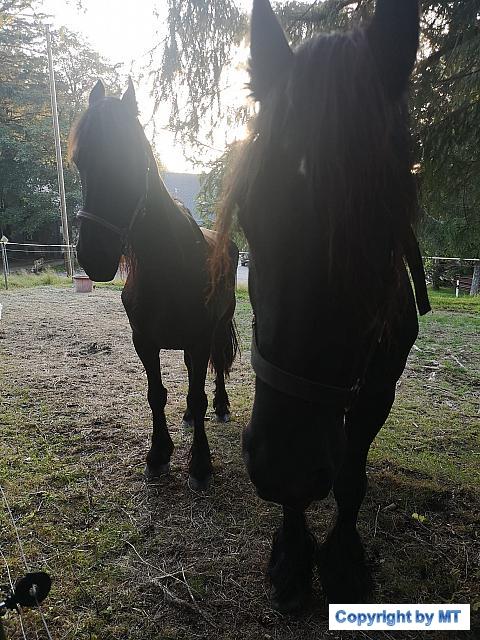 69427822 2652159491470214 8583945474854092800 o 2652159488136881