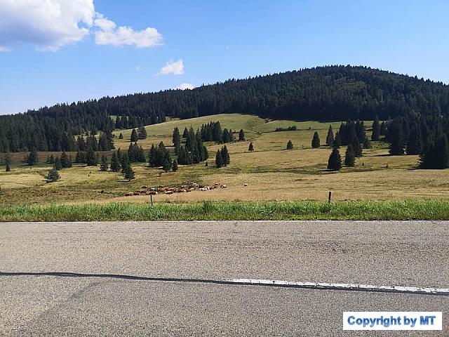 69587188 2653590044660492 5357757412956700672 n 2653590037993826