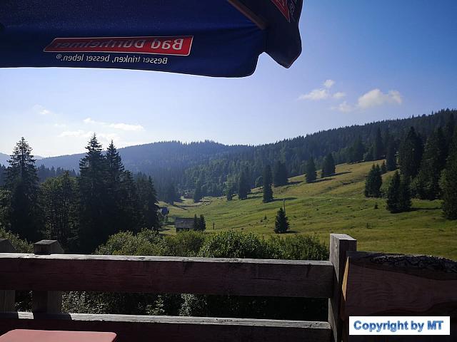 69655331 2653236588029171 8936904989591207936 o 2653236578029172