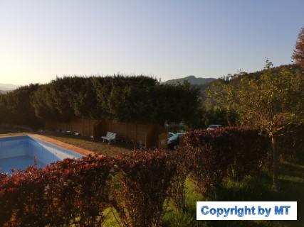 IMG 20190420 190332 (Handy)