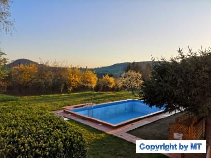 IMG 20190420 192346 (Handy)