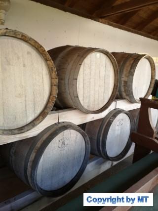 IMG 20190420 192744 (Handy)