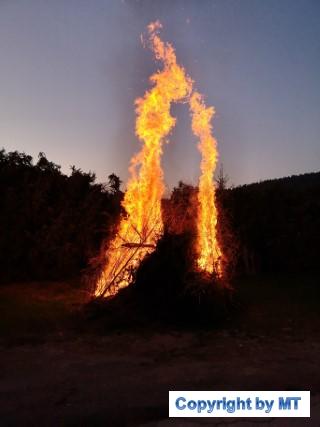 IMG 20190420 200337 (Handy)