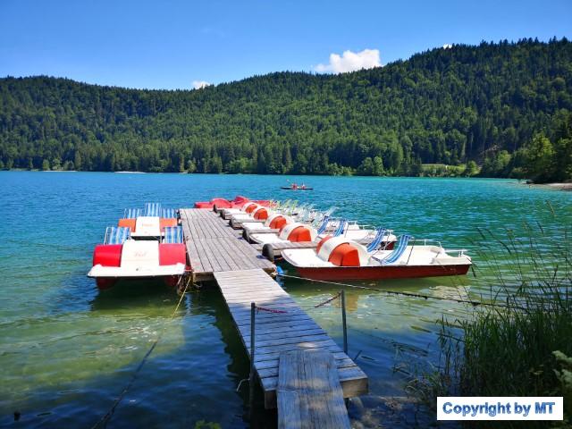 IMG 20190710 152247 (Klein)