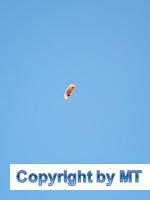 66079162 2564647090221455 2216587412639842304 o 2564647073554790