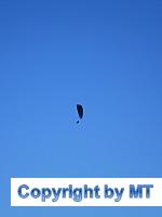 66338730 2564646926888138 2213152422350553088 o 2564646903554807