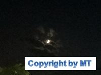 66445677 2564650373554460 505382226125389824 o 2564650366887794