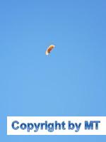 66449518 2564646933554804 6483917440198639616 o 2564646906888140