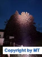 66769578 2564652443554253 7876077092868194304 o 2564652436887587