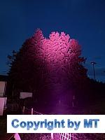 67185792 2564651876887643 8081966696778170368 o 2564651870220977