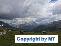 14199735 1266650983354412 3431756905414140696 n 1266650983354412