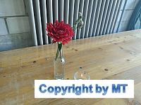 69392375 2664623260223837 6314666660397580288 o 2664623256890504