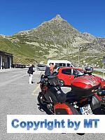 69498979 2610770438986676 560329185852129280 n