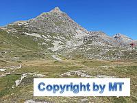 69773859 2610771095653277 5861909371469955072 n