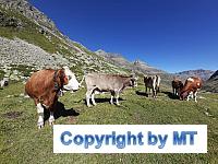 70366671 2610772278986492 5017591935779471360 n