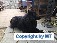 69244466 2651279504891546 8717971793341579264 o 2651279494891547