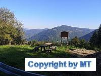 69307426 2653199801366183 8153121810813026304 o 2653199794699517