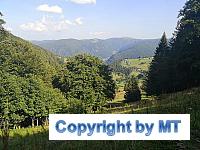 69415799 2657647797588050 8805200057977536512 o 2657647790921384