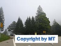 69593700 2651187824900714 307240794757005312 n 2651187821567381