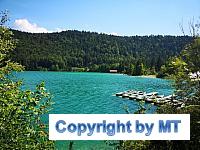 IMG 20190710 151822 (Klein)